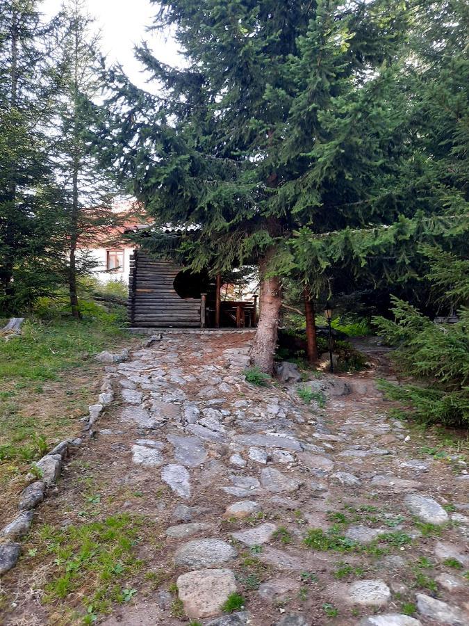 Луксозен апартамент в комплекс Маунтин Лейк , Смолянски Езера - Apartment with 1-bedroom, Smolyan Lakes Екстериор снимка